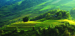 best time to join mai chau valley tour