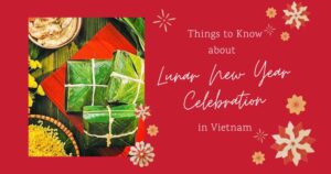 celebrating vietnamese new year
