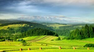 diverse-landscapes
