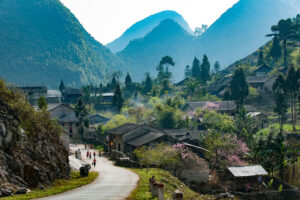 The Best Time to Join Dong Van Tours